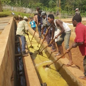 Costa Rica workers