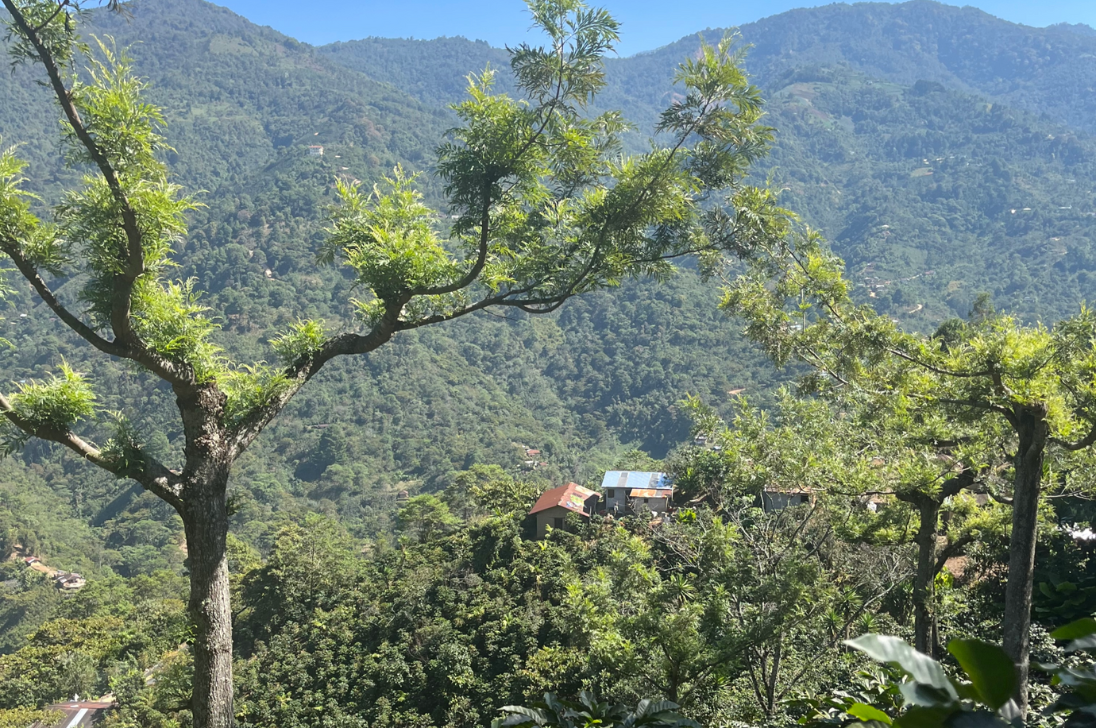 Guatemala paysage