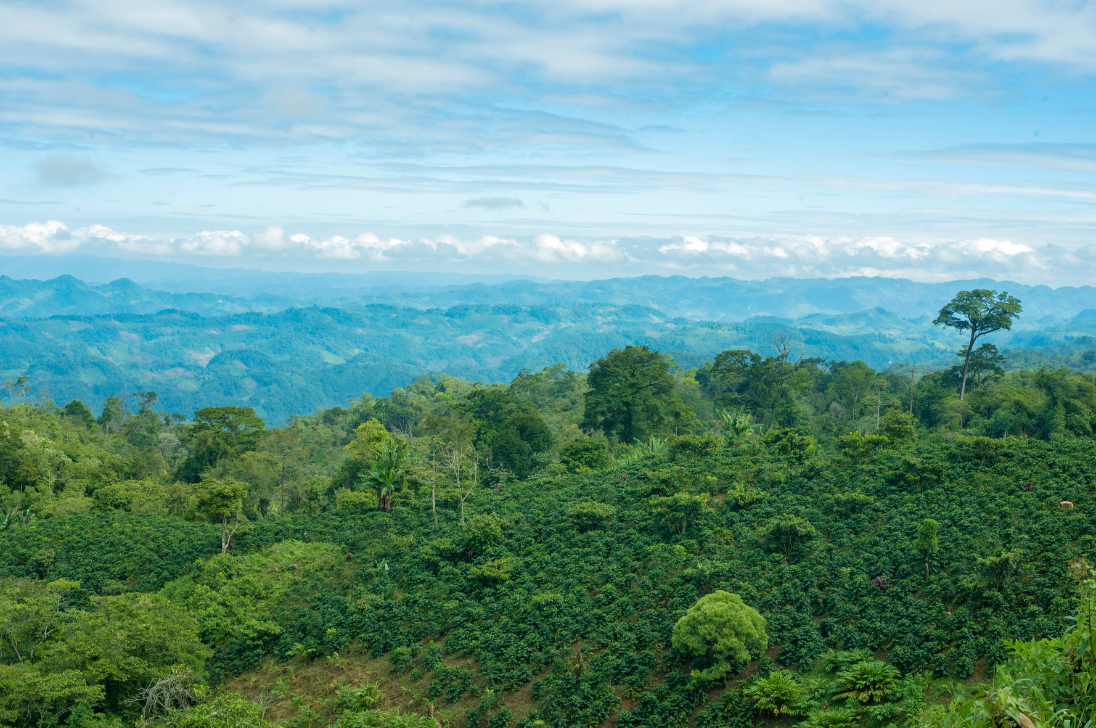 Guatemala paysage