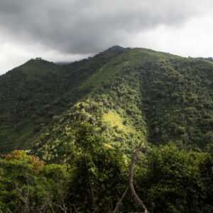 Colombie